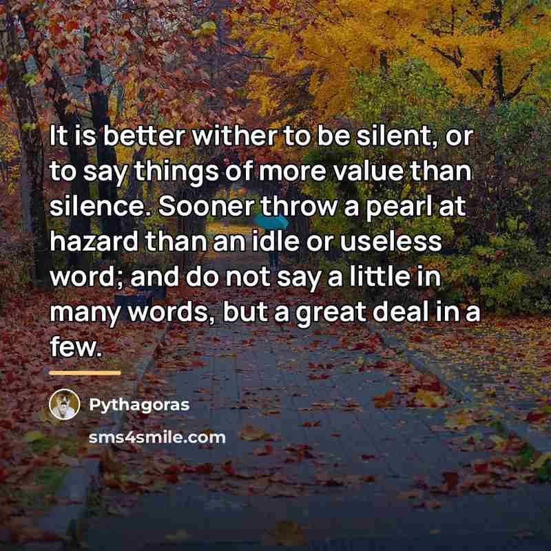 “It is better wither to be silent, or to say…” quote by Pythagoras
