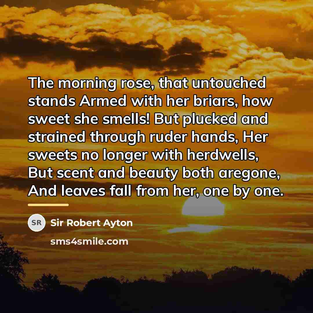 “The morning rose, that untouched stands Armed with her briars,…” quote by Sir Robert Ayton
