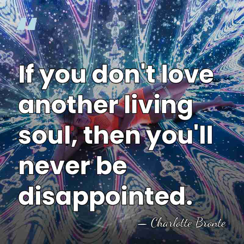 If you don't love another living soul, then you'll never be disappointed. - Charlotte Bronte