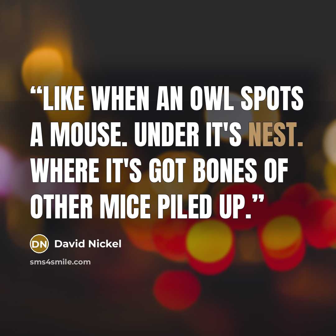 “Like when an owl spots a mouse. Under it's nest. Where it's got bones of other mice piled up.” quote by David Nickel
