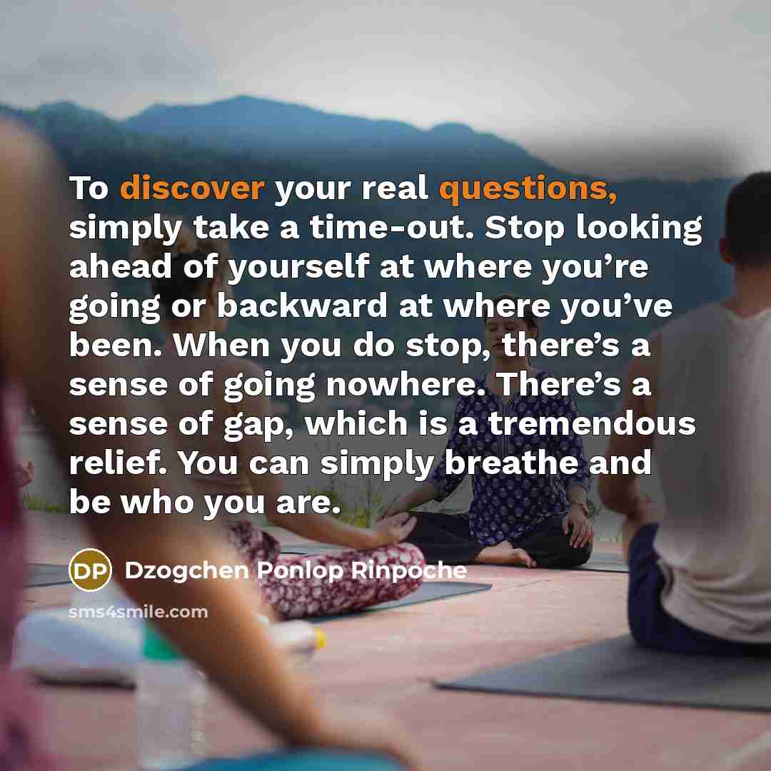 “To discover your real questions, simply take a time-out. Stop…” quote by Dzogchen Ponlop Rinpoche