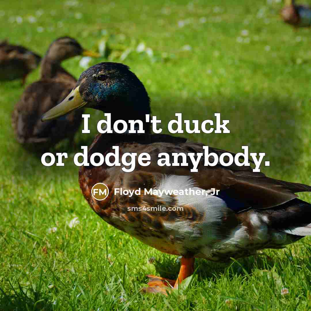“I don't duck or dodge anybody.…” quote by Floyd Mayweather, Jr