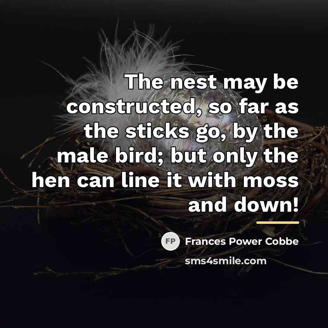 “The nest may be constructed, so far as the sticks…” quote by Frances Power Cobbe