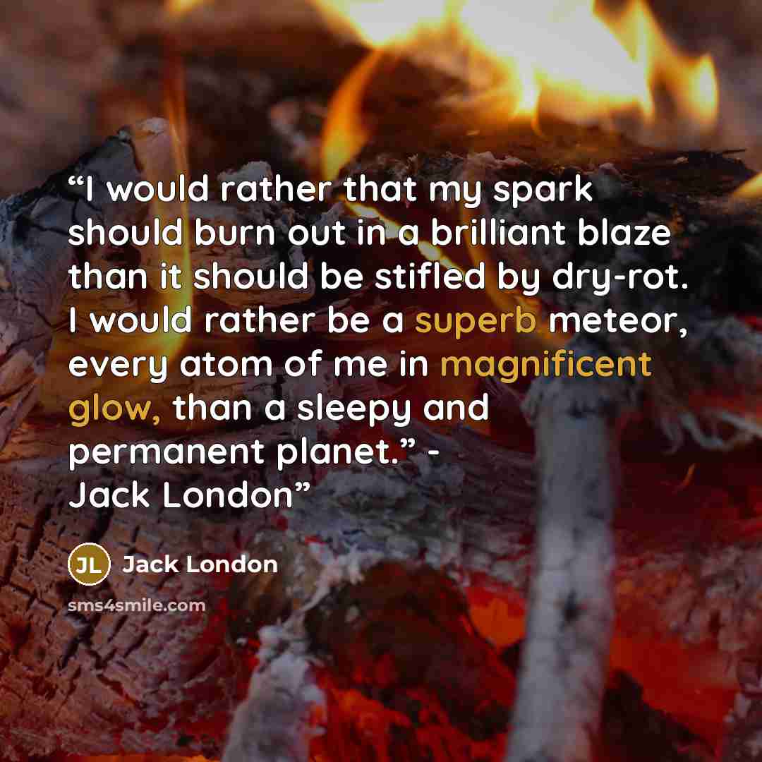 “I would rather that my spark should burn out in a brilliant blaze than it should be stifled by dry-rot. I would rather be a superb meteor, every atom of me in magnificent glow, than a sleepy and permanent planet.” - Jack London” quote by Jack London