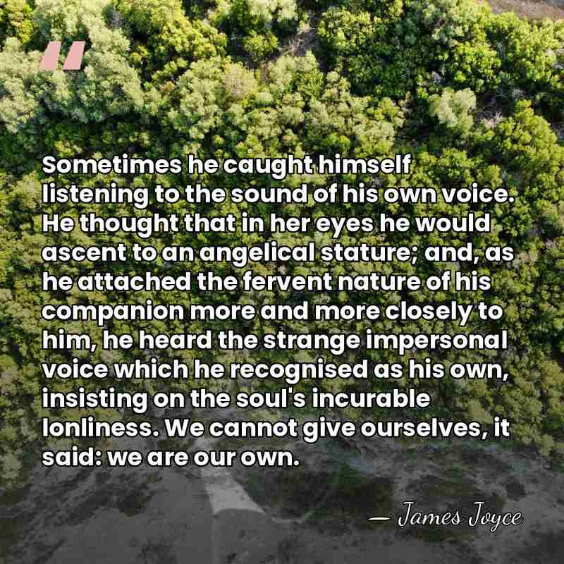 Sometimes he caught himself listening to the sound of his own voice.&hellip; - James Joyce