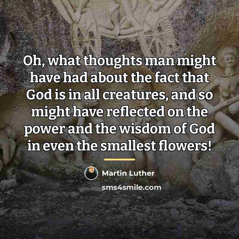 “Oh, what thoughts man might have had about the fact…” quote by Martin Luther