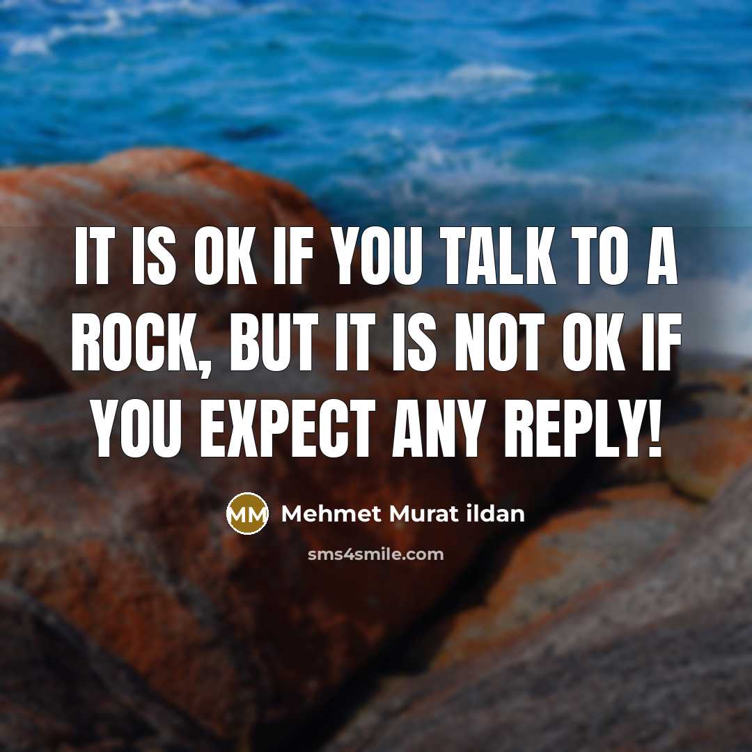 “It is ok if you talk to a rock, but…” quote by Mehmet Murat Ildan