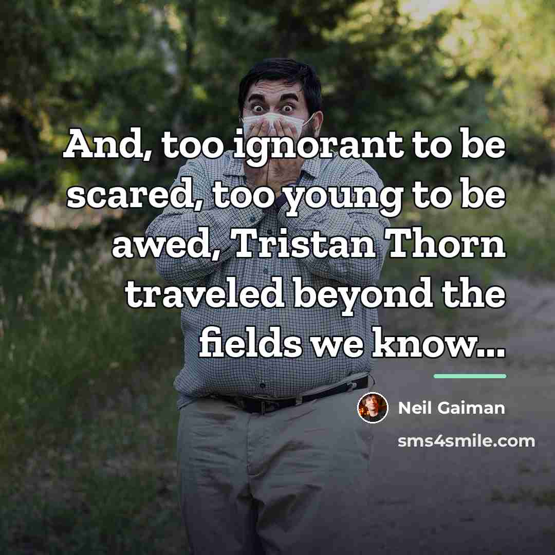 “And, too ignorant to be scared, too young to be…” quote by Neil Gaiman