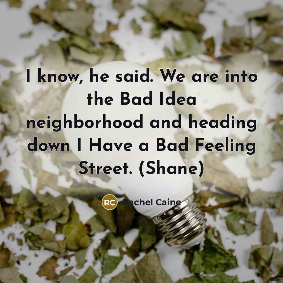 “I know, he said. We are into the Bad Idea…” quote by Rachel Caine