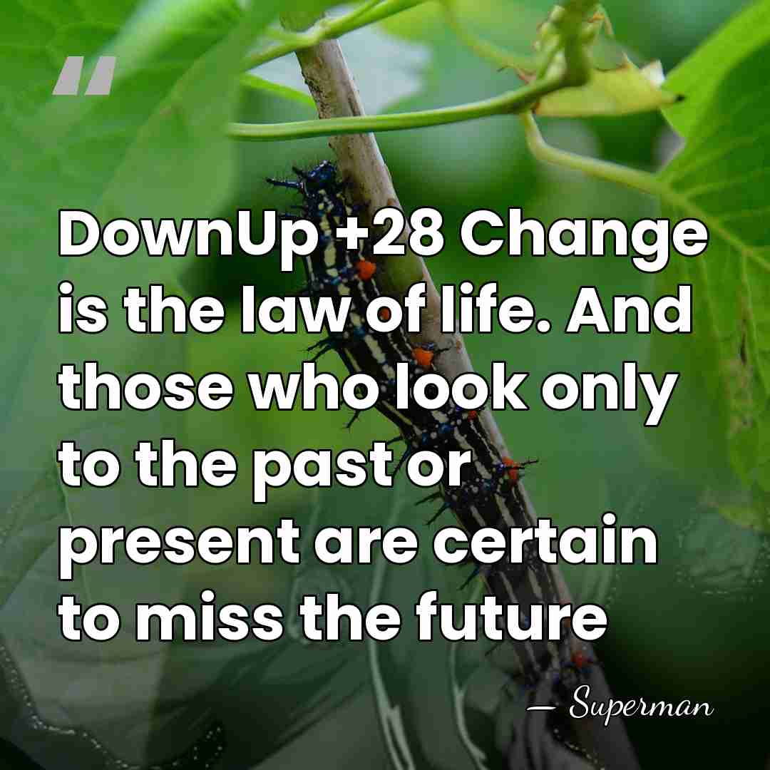 DownUp +28 Change is the law of life. And those who look&hellip; - Superman