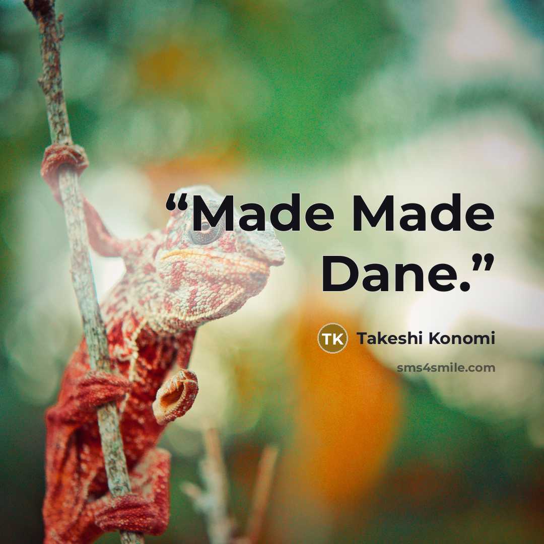 “Made Made Dane.” quote by Takeshi Konomi