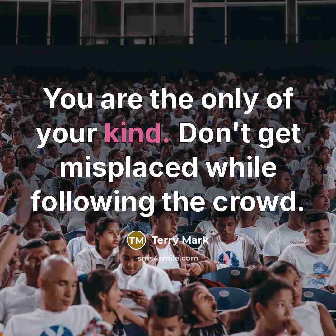 “You are the only of your kind. Don't get misplaced…” quote by Terry Mark