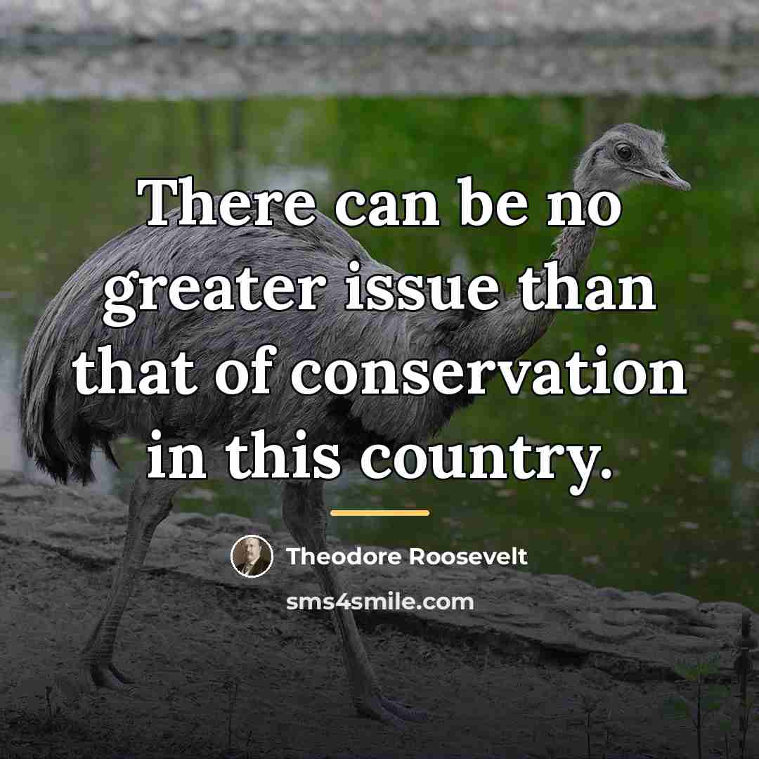 “There can be no greater issue than that of conservation…” quote by Theodore Roosevelt