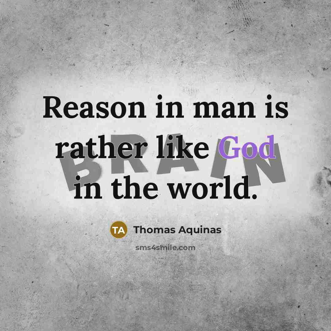 “Reason in man is rather like God in the world.…” quote by Thomas Aquinas