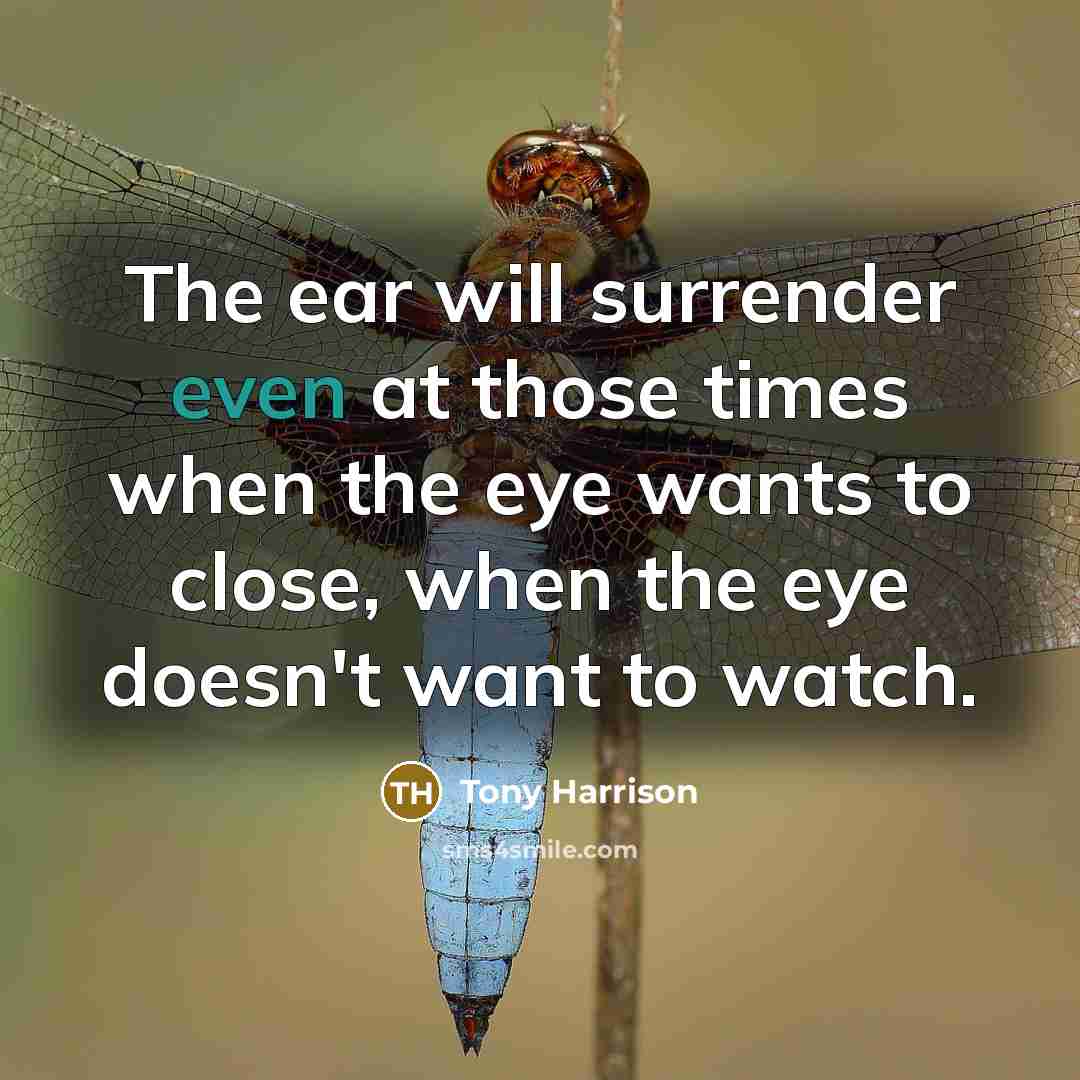 “The ear will surrender even at those times when the…” quote by Tony Harrison