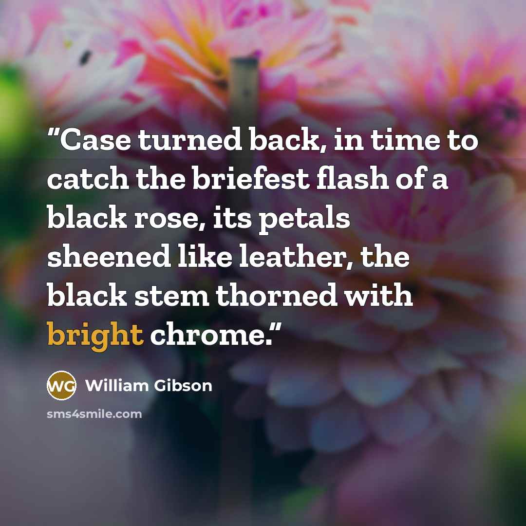“Case turned back, in time to catch the briefest flash of a black rose, its petals sheened like leather, the black stem thorned with bright chrome.” quote by William Gibson