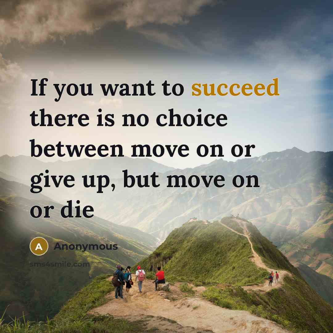 “If you want to succeed there is no choice between…” quote by Anonymous