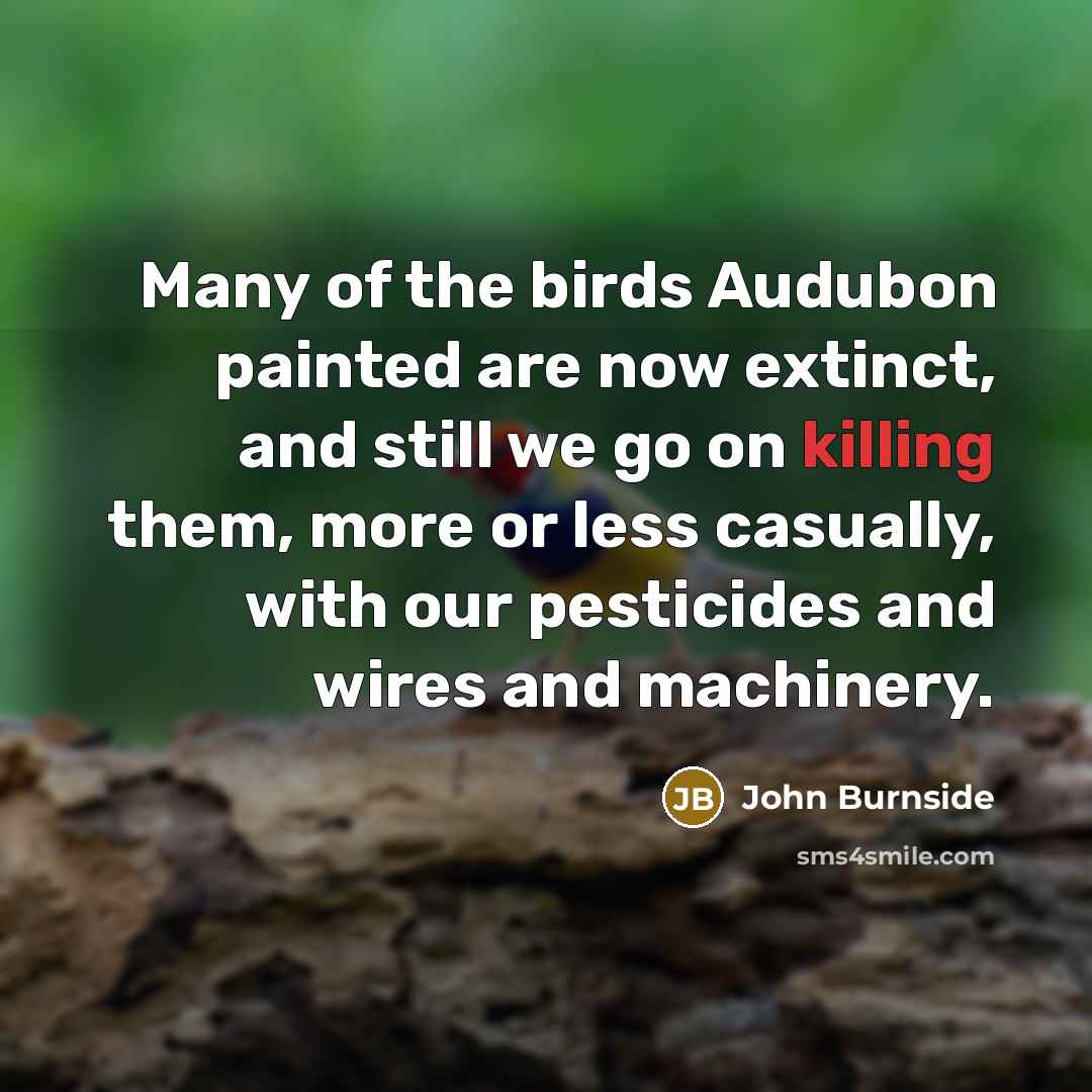 “Many of the birds Audubon painted are now extinct, and…” quote by John Burnside