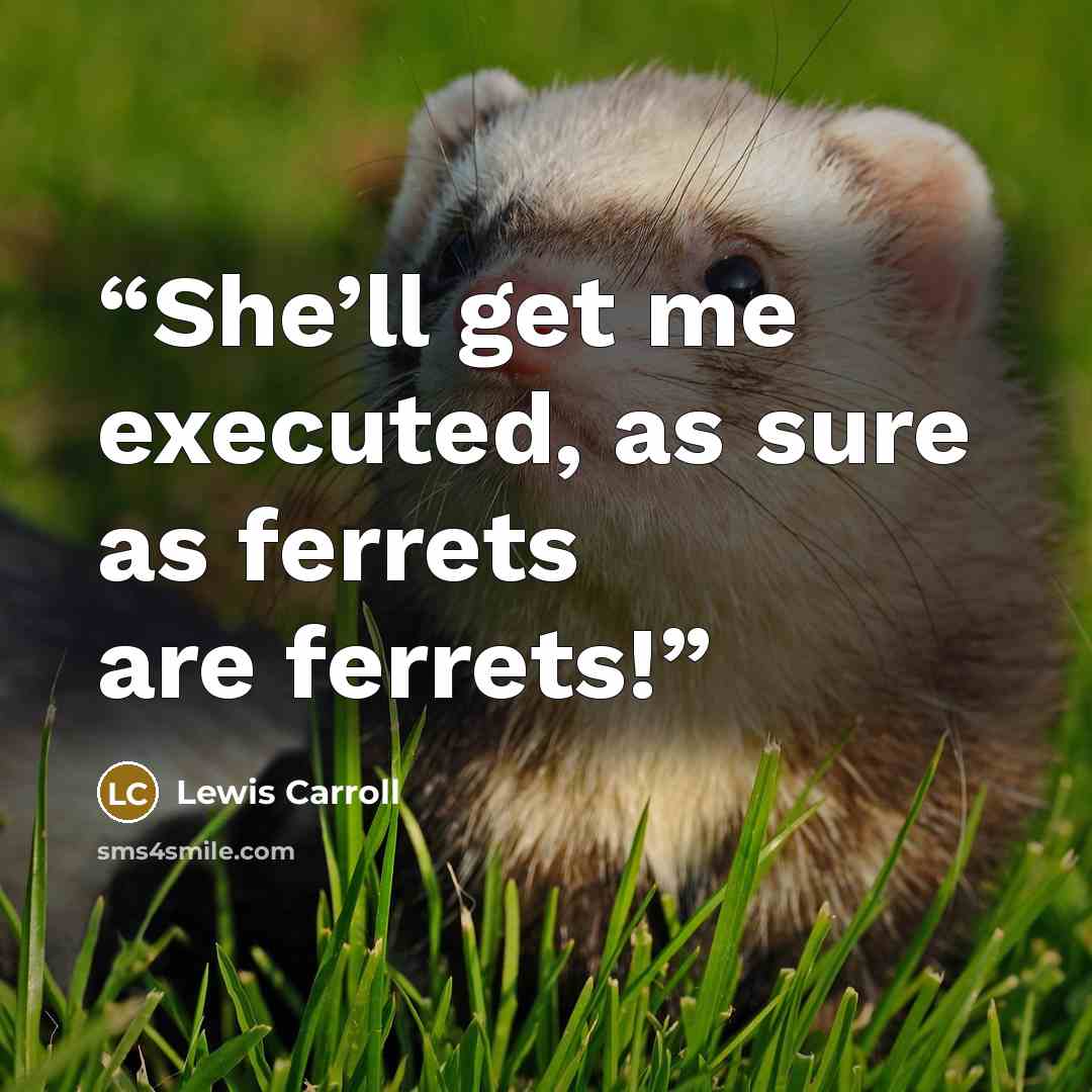 “She’ll get me executed, as sure as ferrets are ferrets!” quote by Lewis Carroll