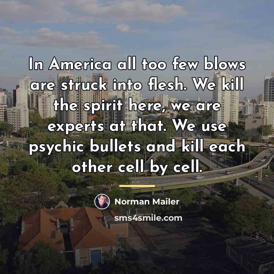 “In America all too few blows are struck into flesh.…” quote by Norman Mailer