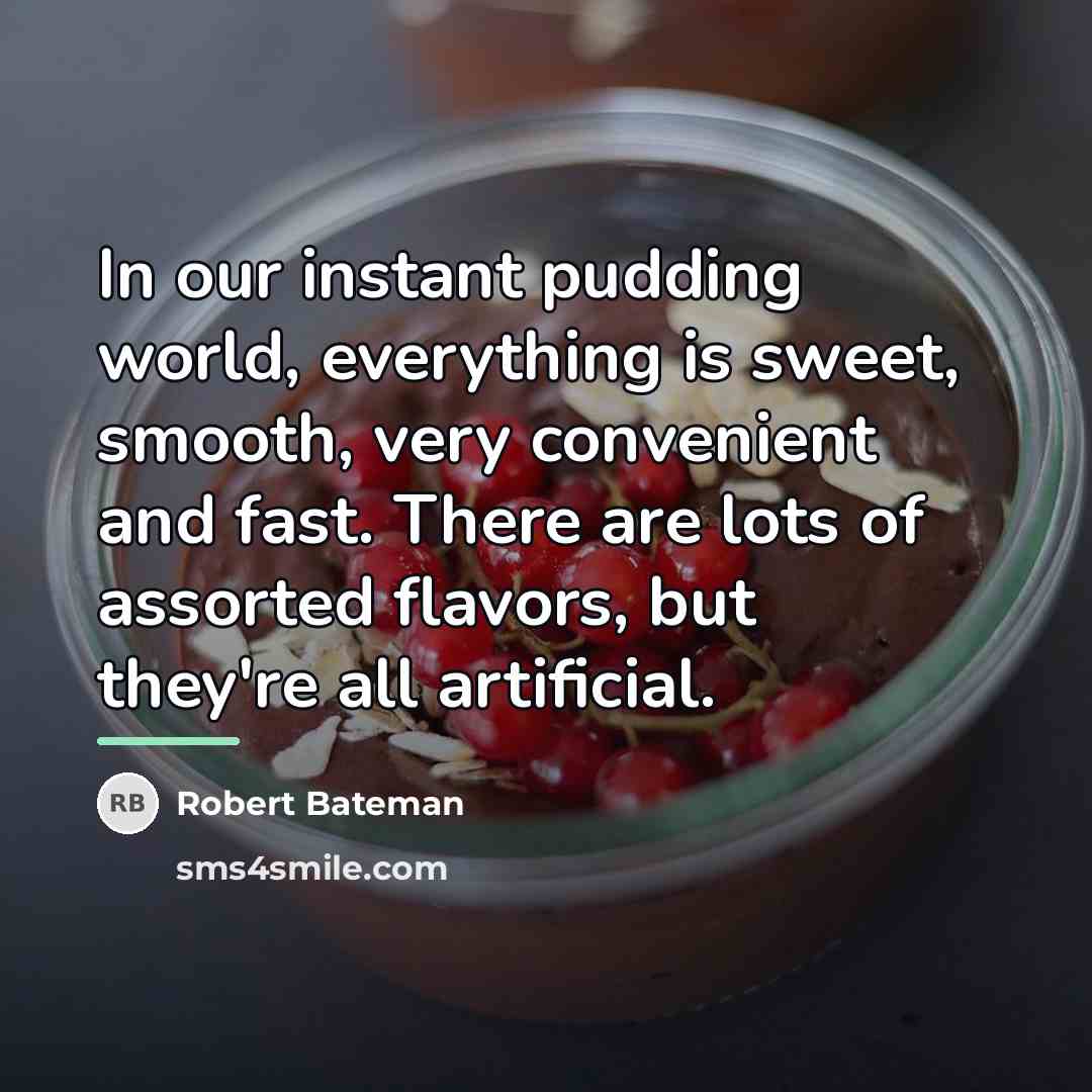 “In our instant pudding world, everything is sweet, smooth, very…” quote by Robert Bateman