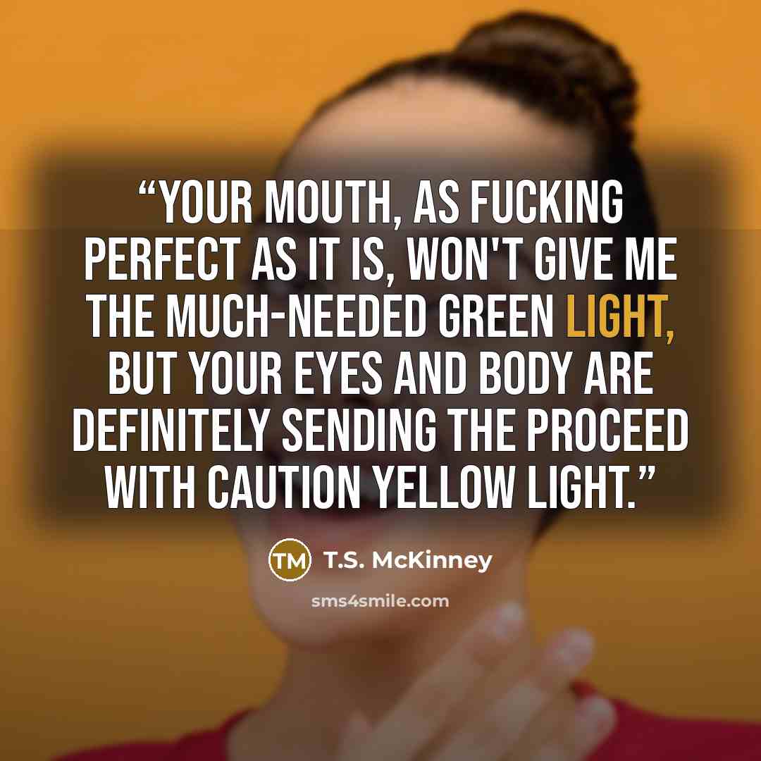 “Your mouth, as fucking perfect as it is, won't give me the much-needed green light, but your eyes and body are definitely sending the proceed with caution yellow light.” quote by T.S. McKinney