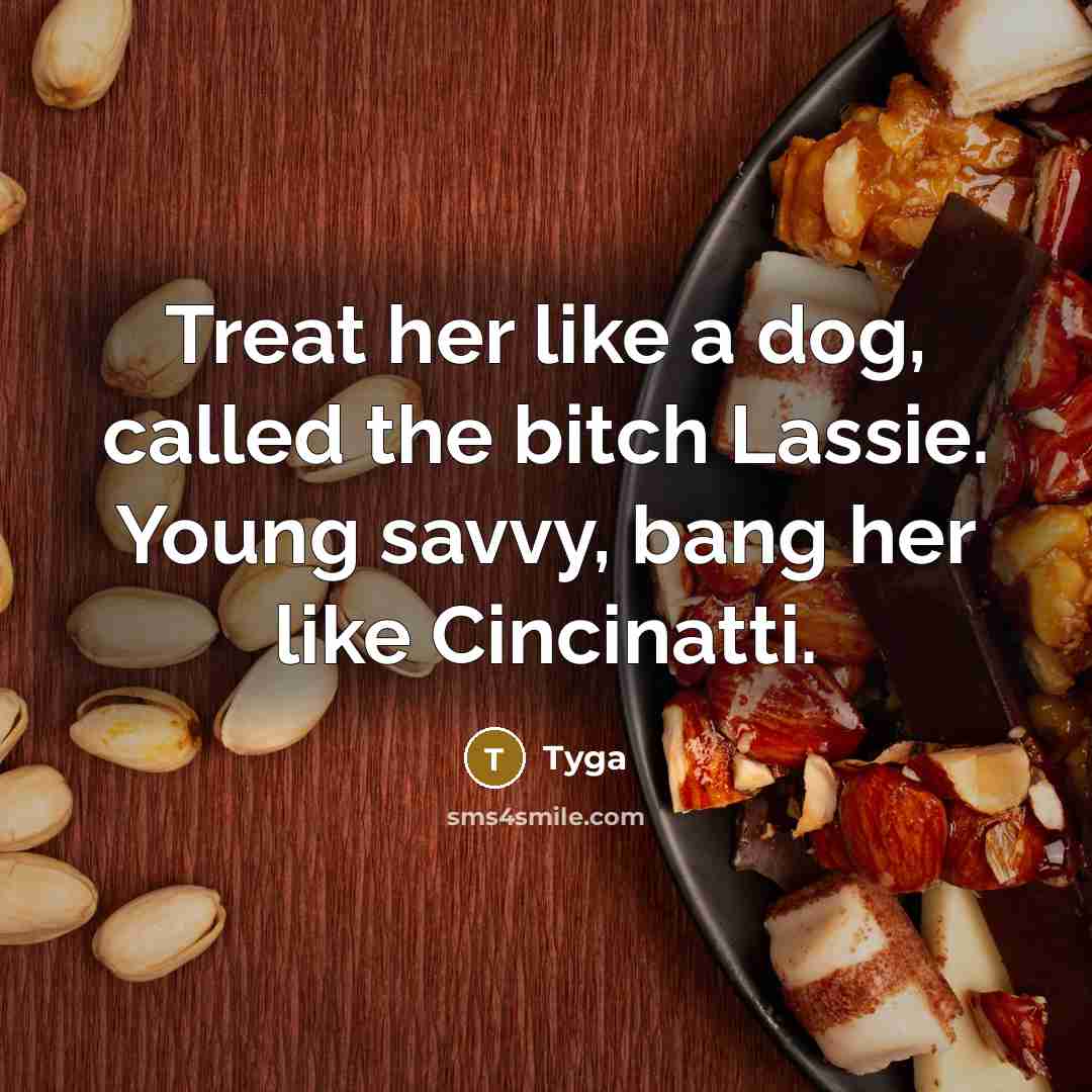 “Treat her like a dog, called the bitch Lassie. Young savvy, bang her like Cincinatti.” quote by Tyga