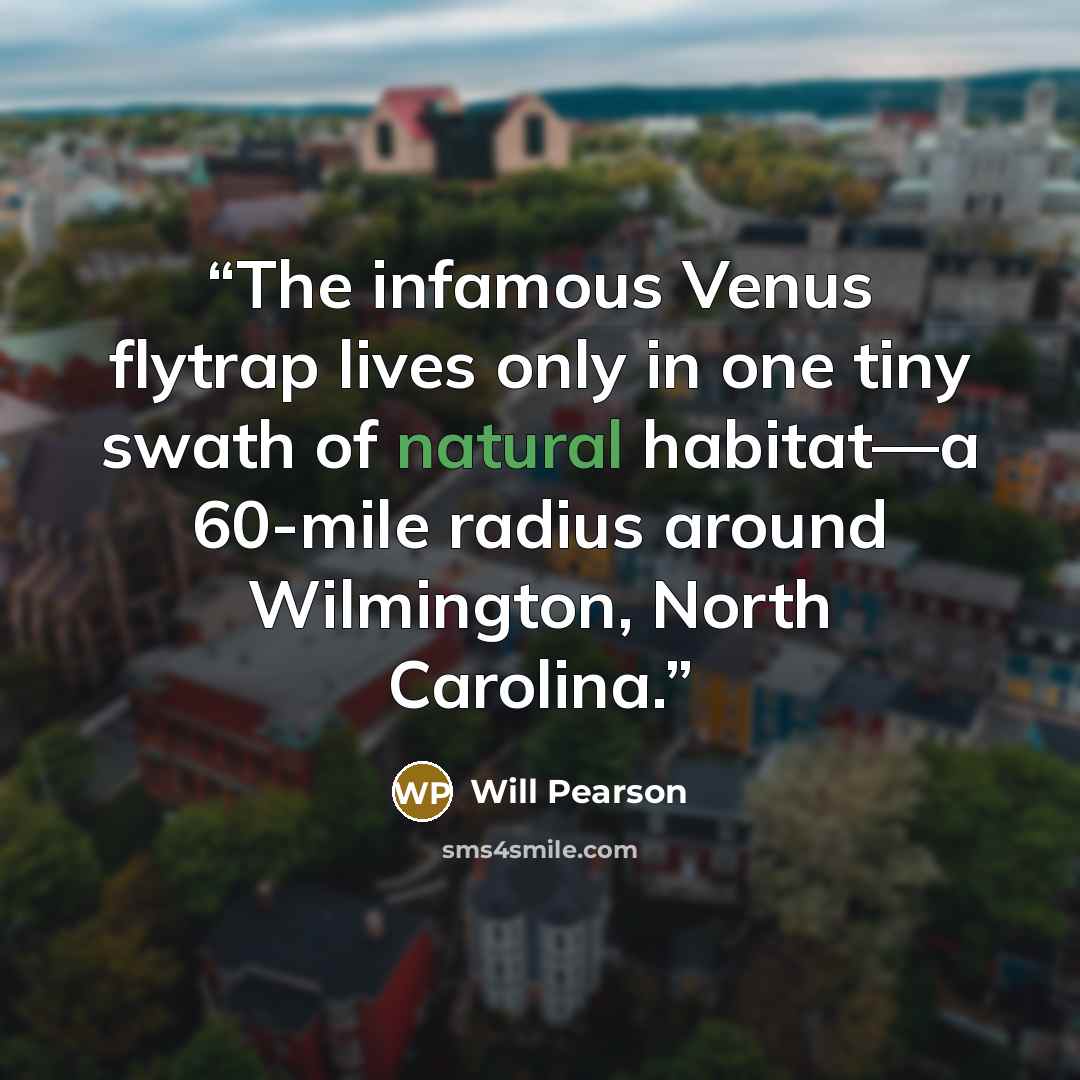 “The infamous Venus flytrap lives only in one tiny swath of natural habitat—a 60-mile radius around Wilmington, North Carolina.” quote by Will Pearson