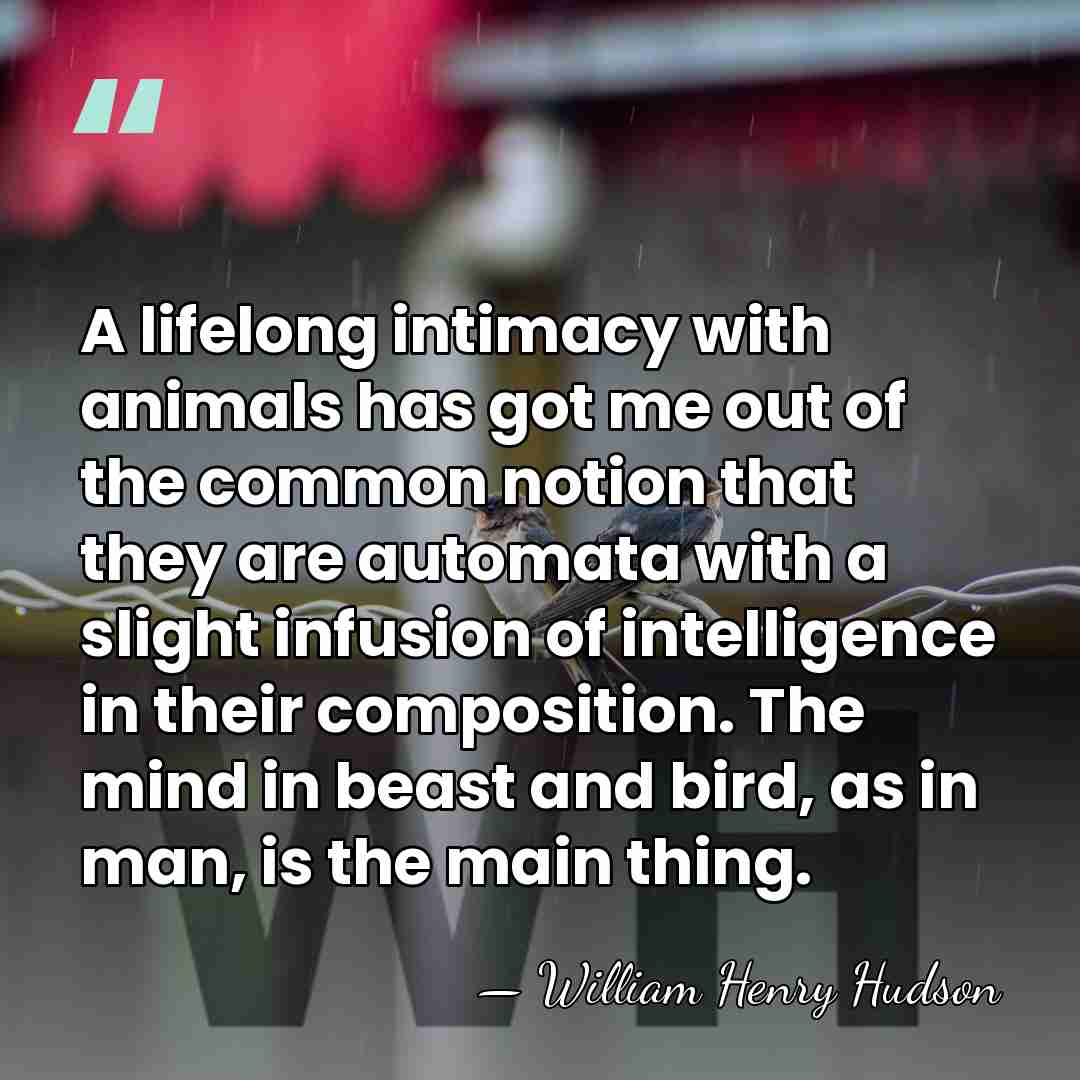 A lifelong intimacy with animals has got me out of the common&hellip; - William Henry Hudson