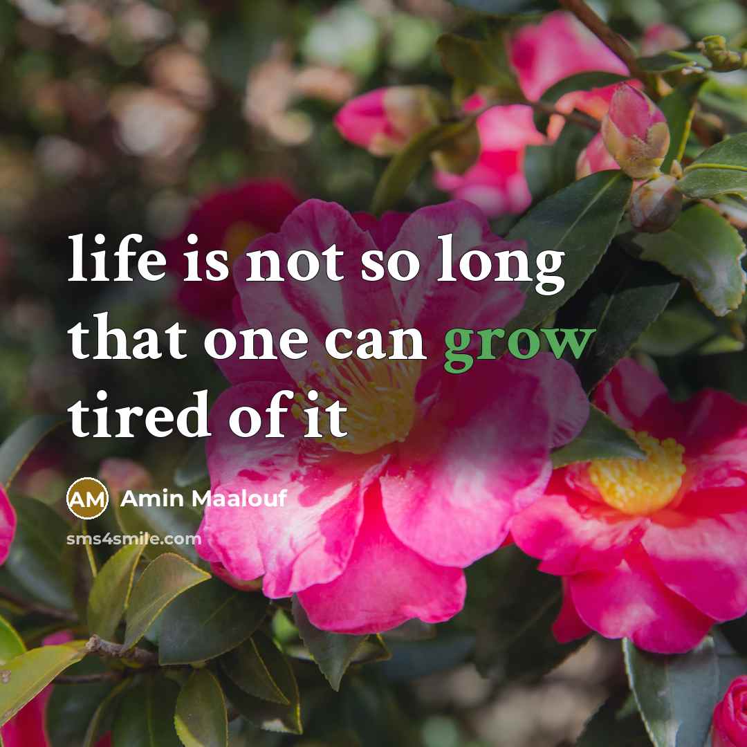 “life is not so long that one can grow tired…” quote by Amin Maalouf