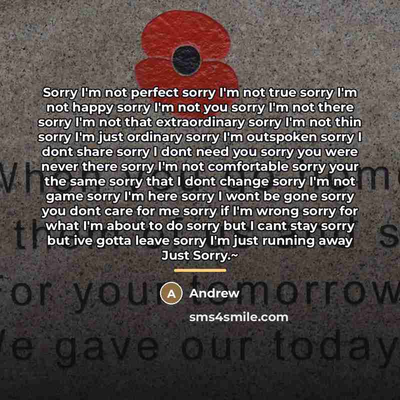 “Sorry I'm not perfect sorry I'm not true sorry I'm…” quote by Andrew