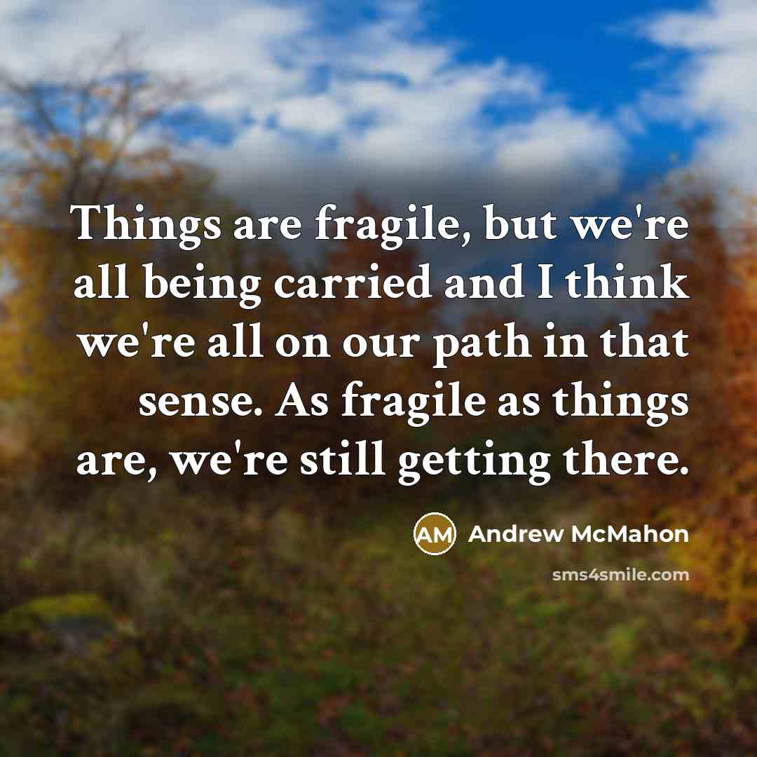 “Things are fragile, but we're all being carried and I…” quote by Andrew McMahon