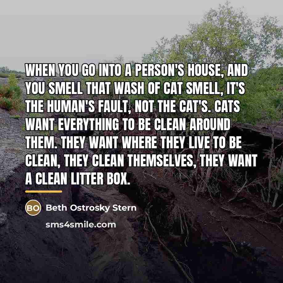 “When you go into a person's house, and you smell…” quote by Beth Ostrosky Stern