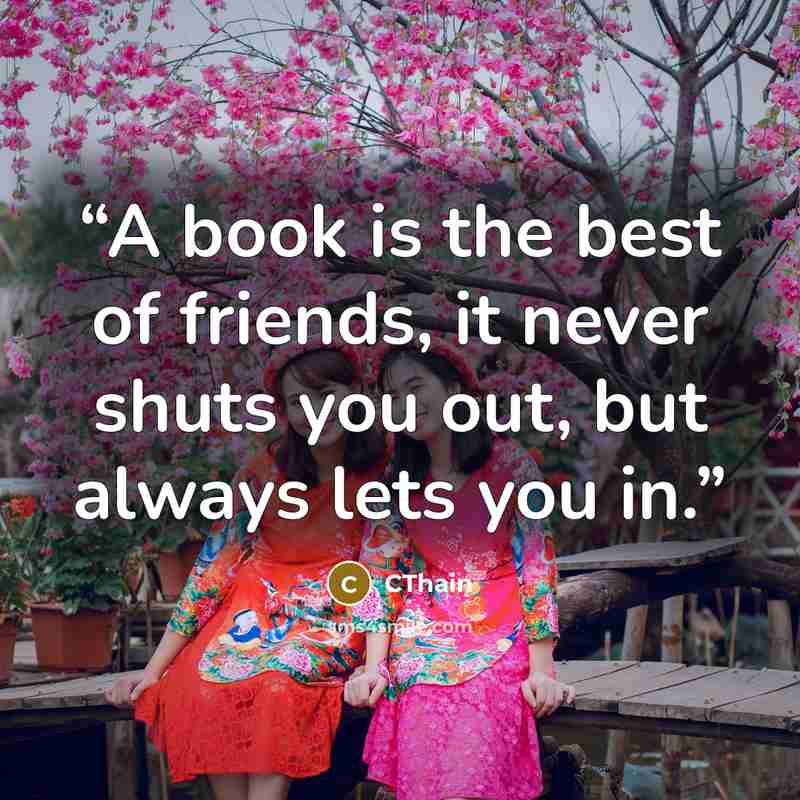 “A book is the best of friends, it never shuts you out, but always lets you in.” quote by CThain