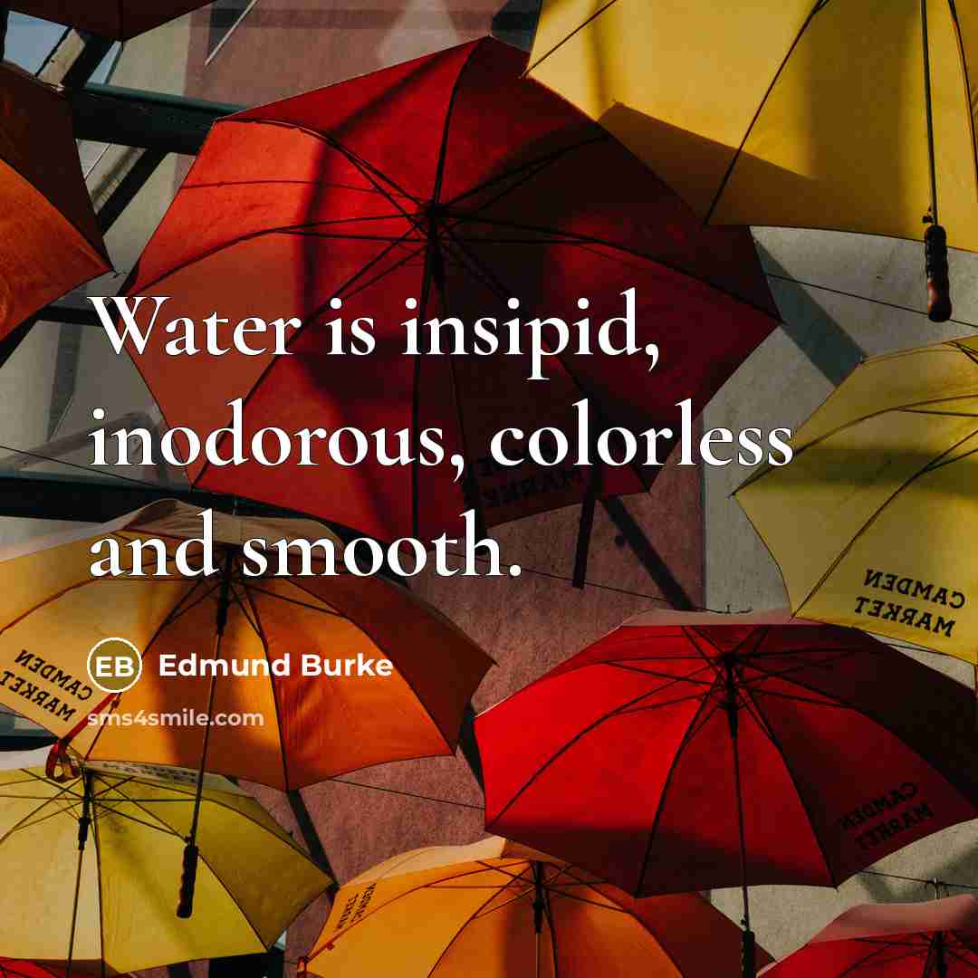 “Water is insipid, inodorous, colorless and smooth.…” quote by Edmund Burke