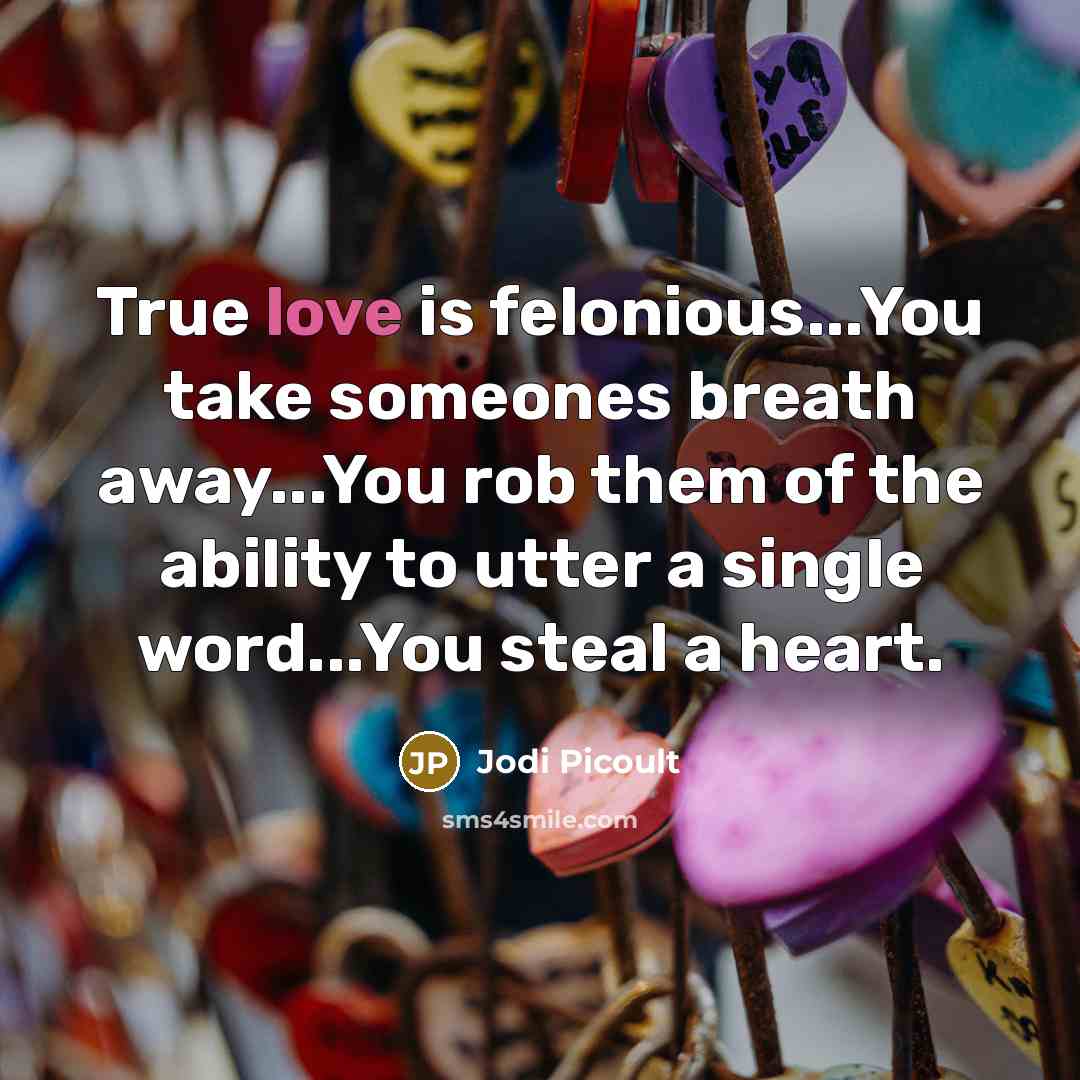 “True love is felonious...You take someones breath away...You rob them…” quote by Jodi Picoult
