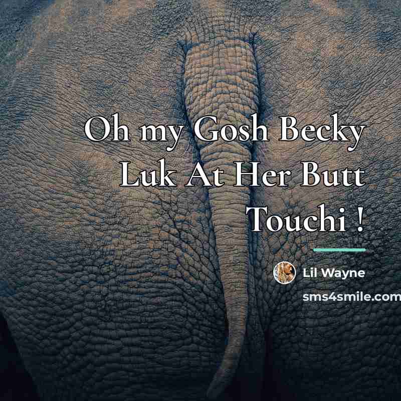 “Oh my Gosh Becky Luk At Her Butt Touchi !…” quote by Lil Wayne