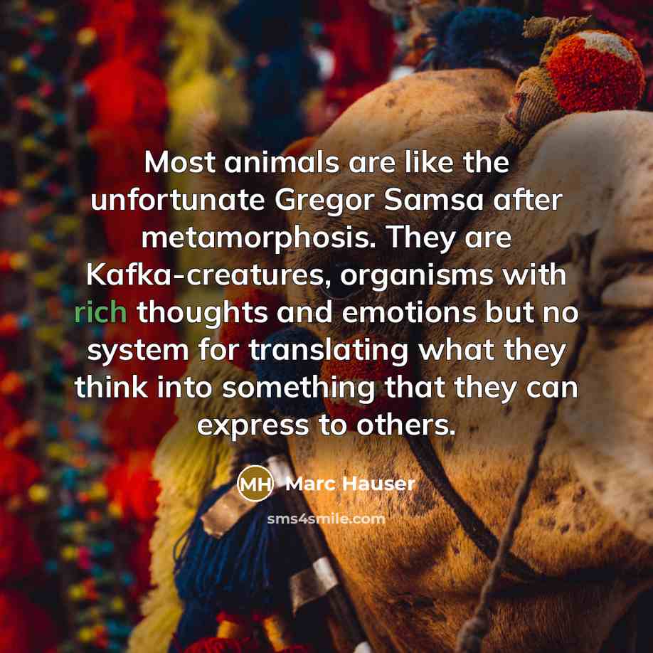 “Most animals are like the unfortunate Gregor Samsa after metamorphosis. They are Kafka-creatures, organisms with rich thoughts and emotions but no system for translating what they think into something that they can express to others.” quote by Marc Hauser