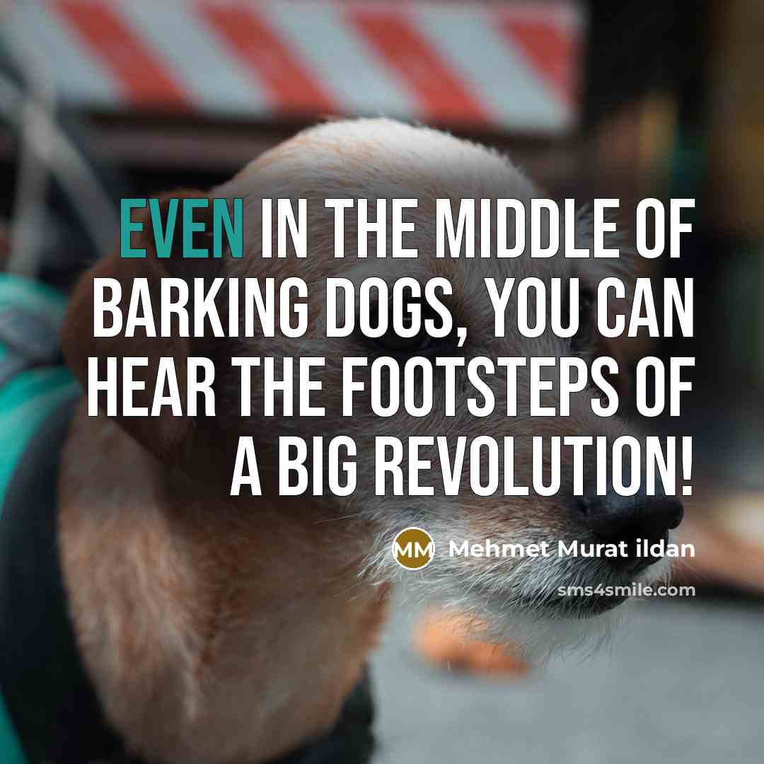 “Even in the middle of barking dogs, you can hear…” quote by Mehmet Murat Ildan