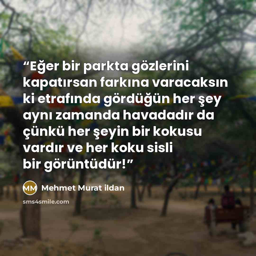 “Eğer bir parkta gözlerini kapatırsan farkına varacaksın ki etrafında gördüğün her şey aynı zamanda havadadır da çünkü her şeyin bir kokusu vardır ve her koku sisli bir görüntüdür!” quote by Mehmet Murat ildan
