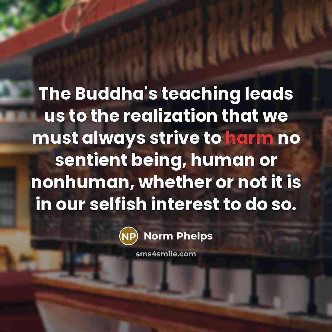 “The Buddha's teaching leads us to the realization that we…” quote by Norm Phelps