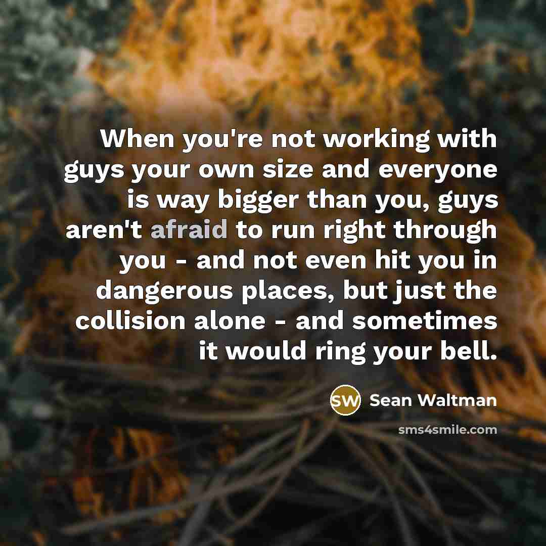 “When you're not working with guys your own size and…” quote by Sean Waltman