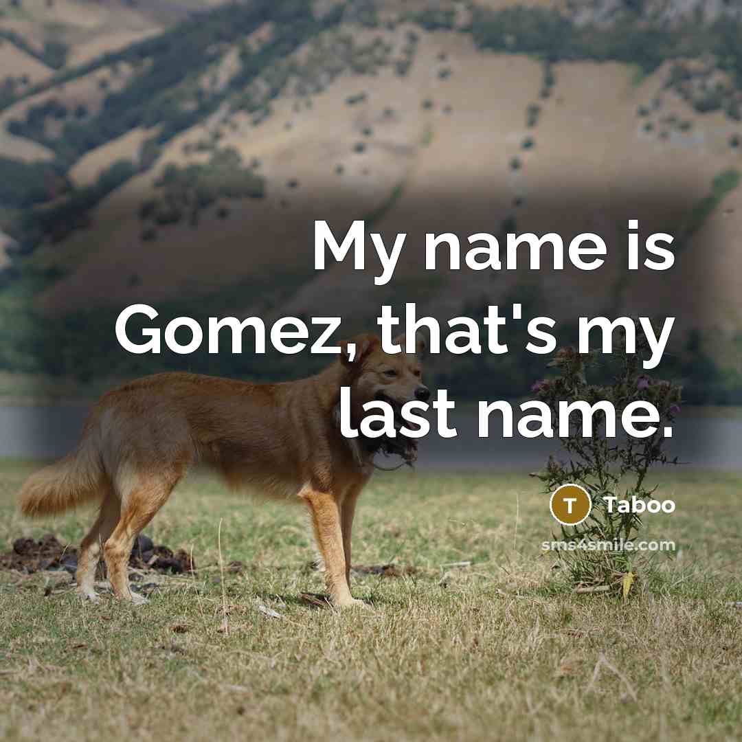 “My name is Gomez, that's my last name.…” quote by Taboo