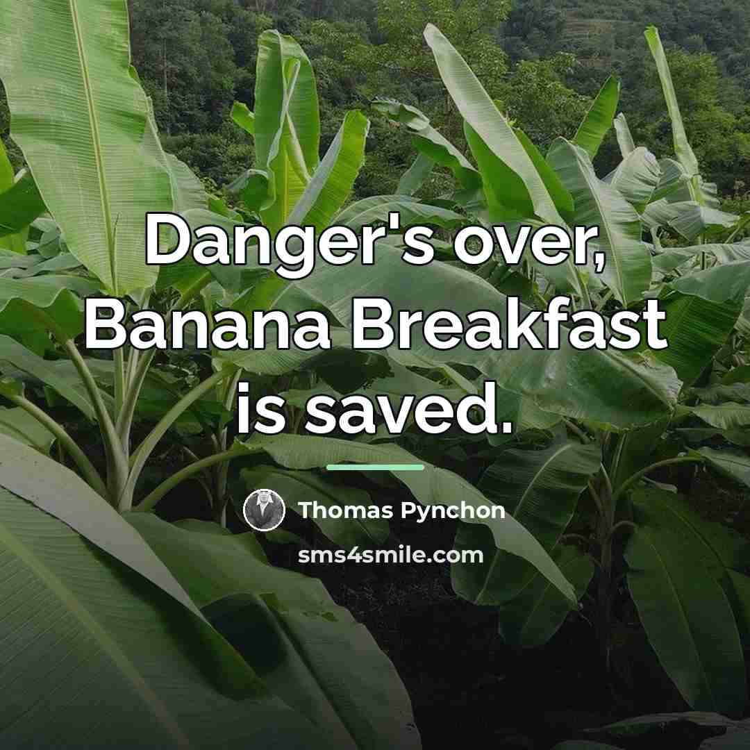 “Danger's over, Banana Breakfast is saved.…” quote by Thomas Pynchon