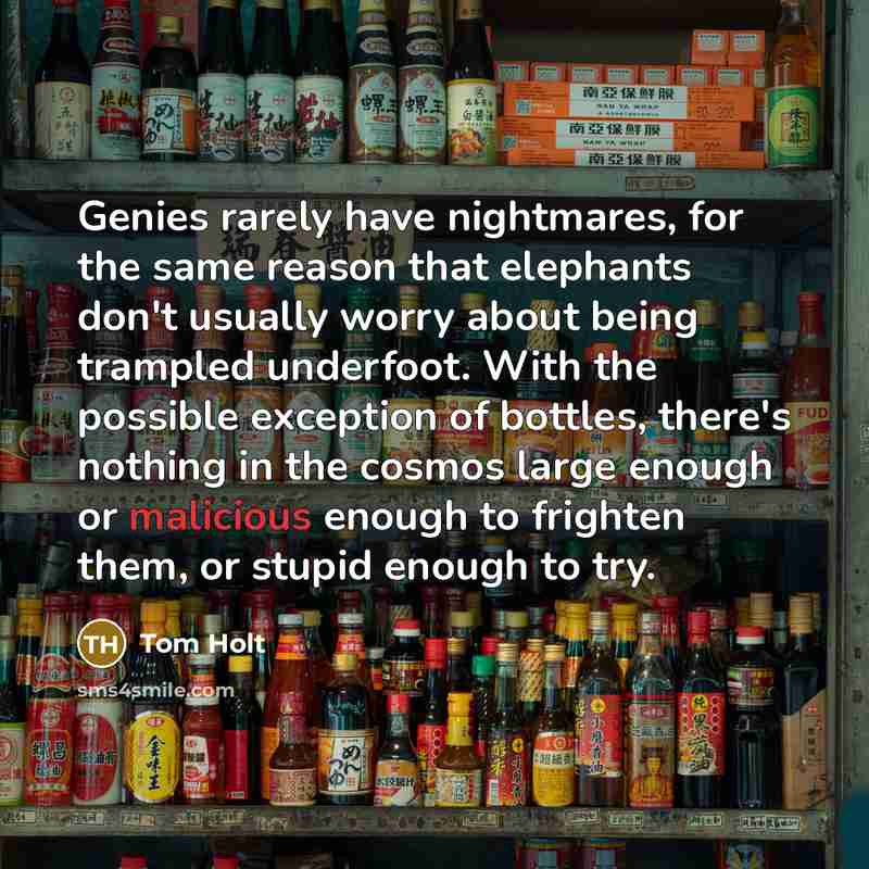 “Genies rarely have nightmares, for the same reason that elephants…” quote by Tom Holt