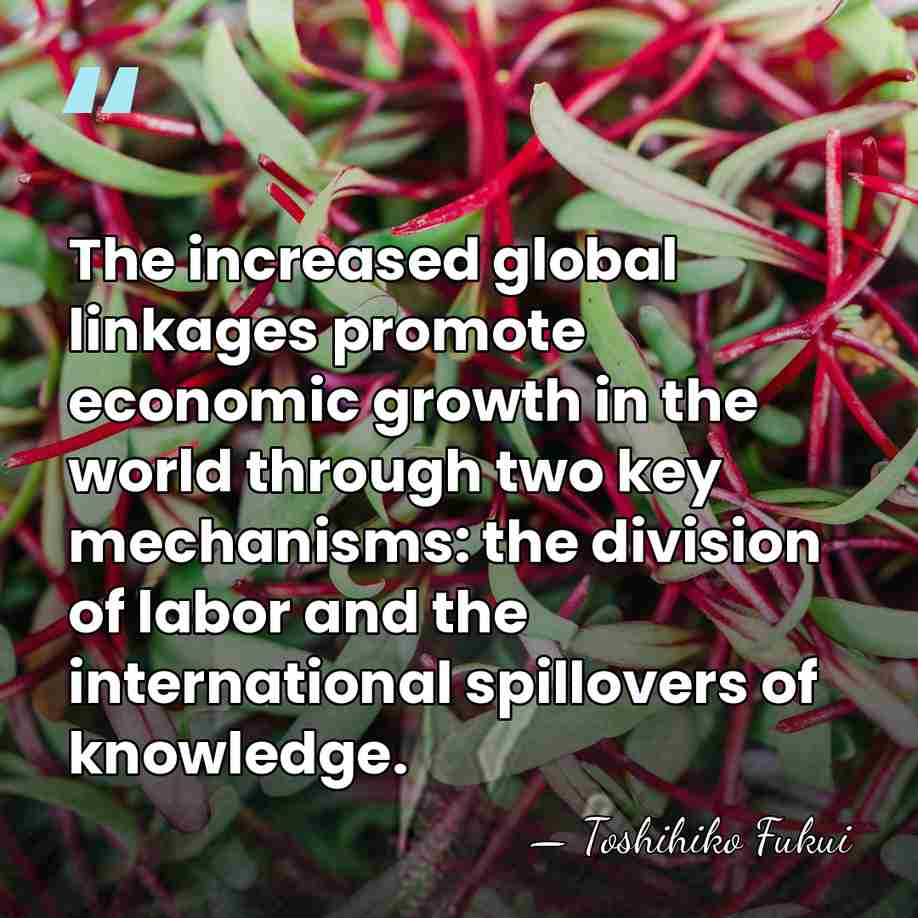 The increased global linkages promote economic growth in the world through two&hellip; - Toshihiko Fukui