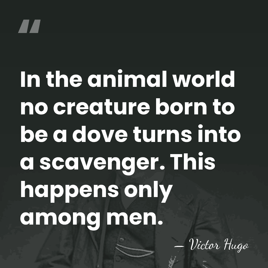 In the animal world no creature born to be a dove turns&hellip; - Victor Hugo