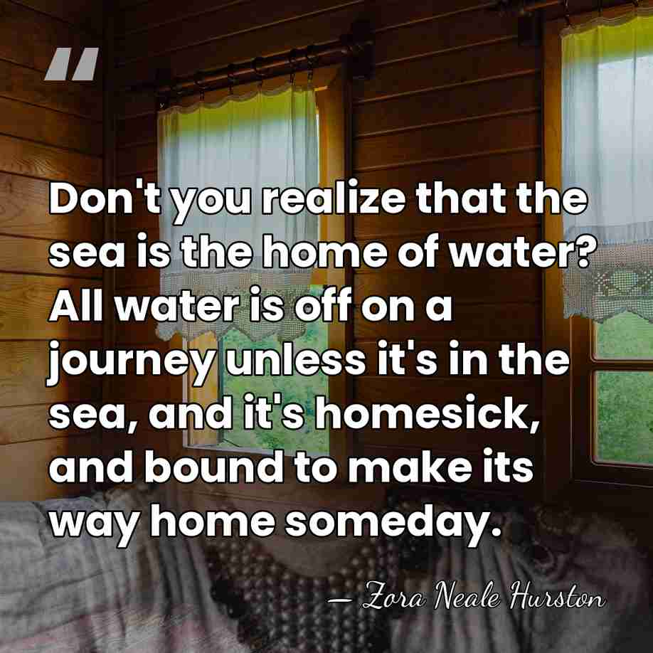 Don't you realize that the sea is the home of water? All&hellip; - Zora Neale Hurston