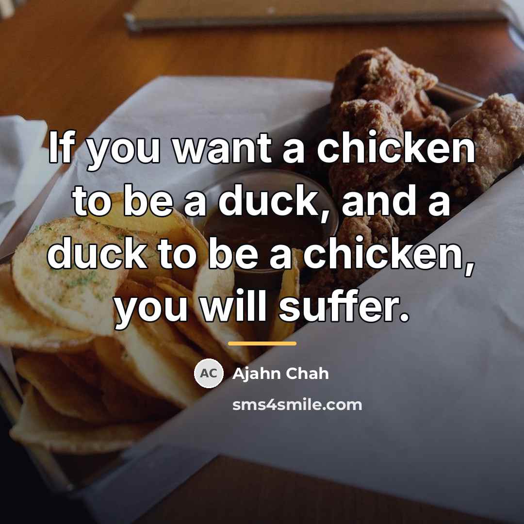 “If you want a chicken to be a duck, and…” quote by Ajahn Chah
