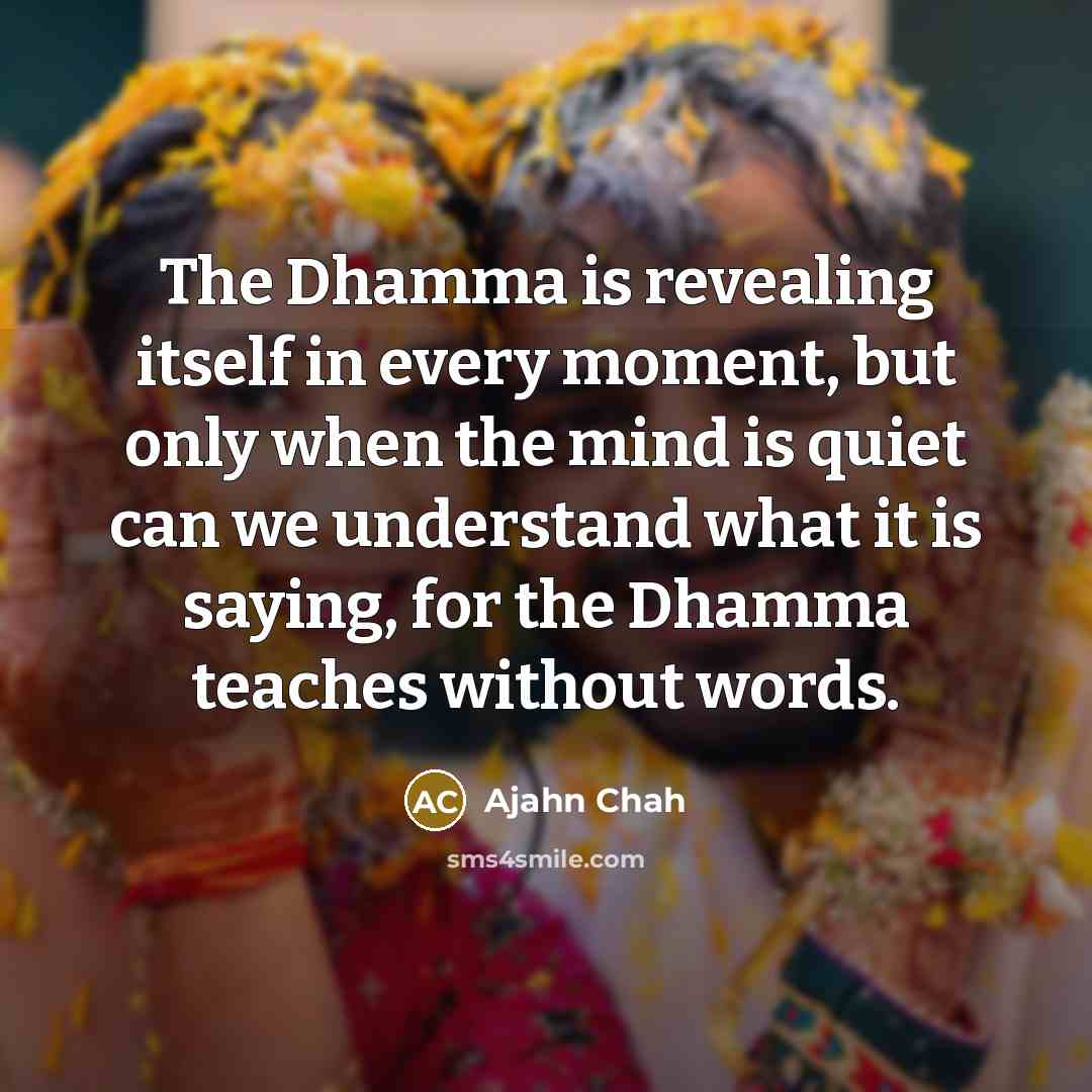 “The Dhamma is revealing itself in every moment, but only…” quote by Ajahn Chah